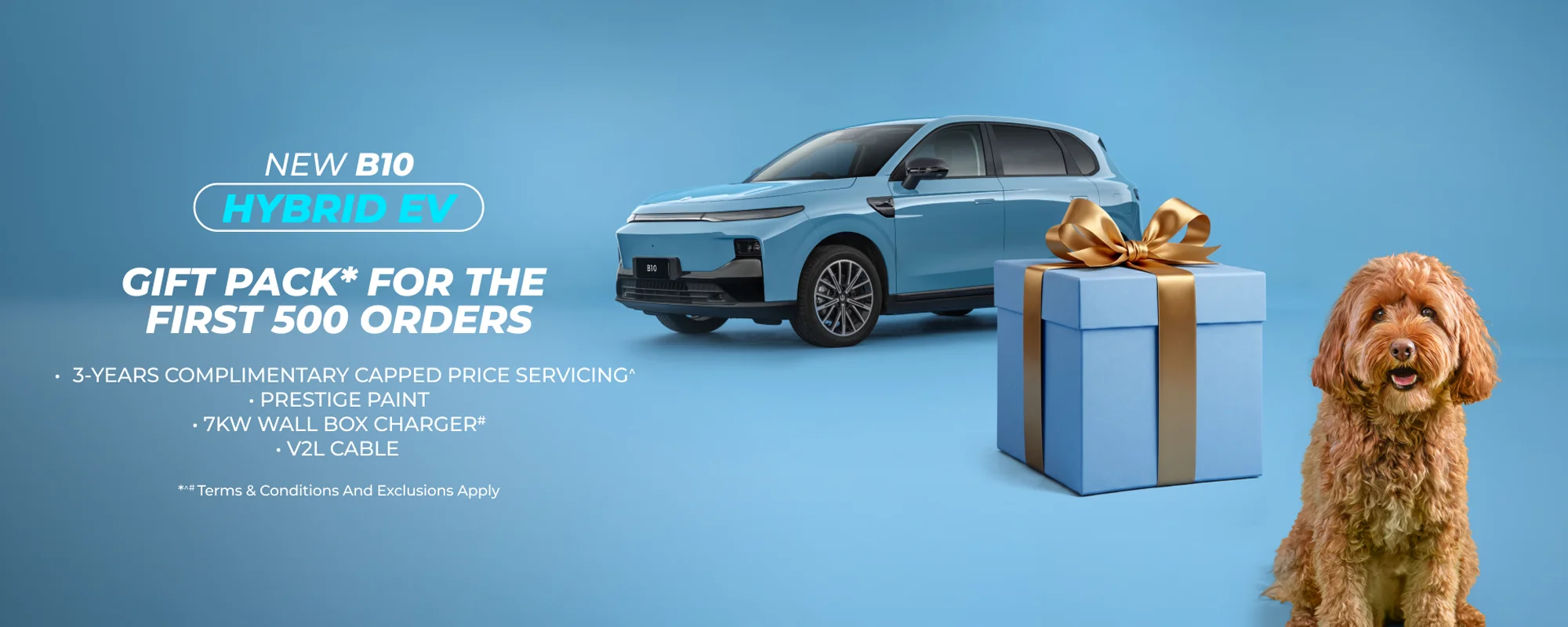 New B10 Hybrod Ev Gift Pack Hp